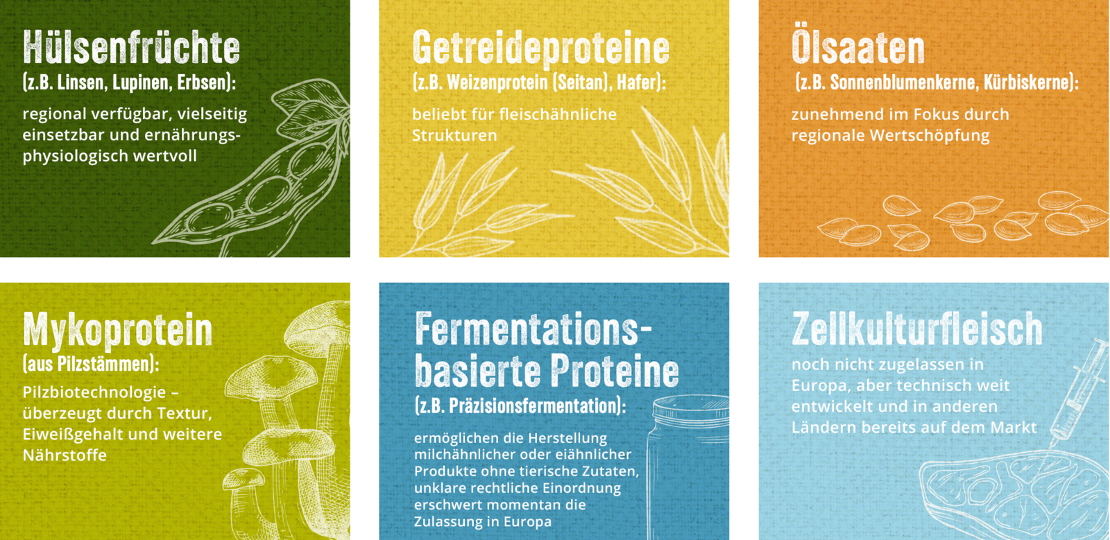 Vielfalt pflanzlicher Proteine