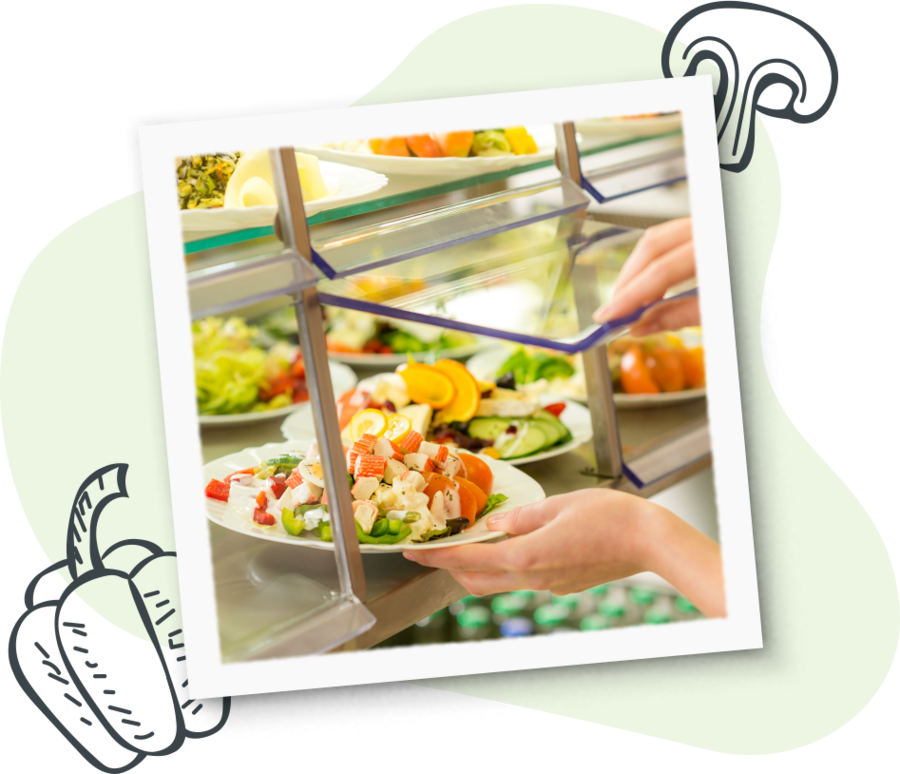 Motive Vegan zu leben