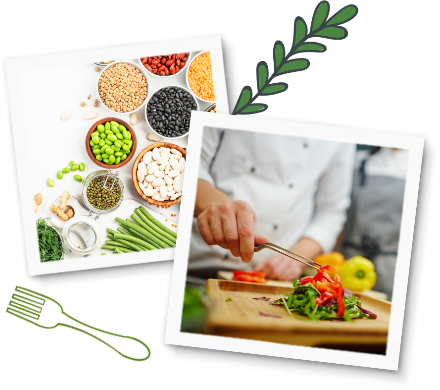 Motive Vegan zu leben