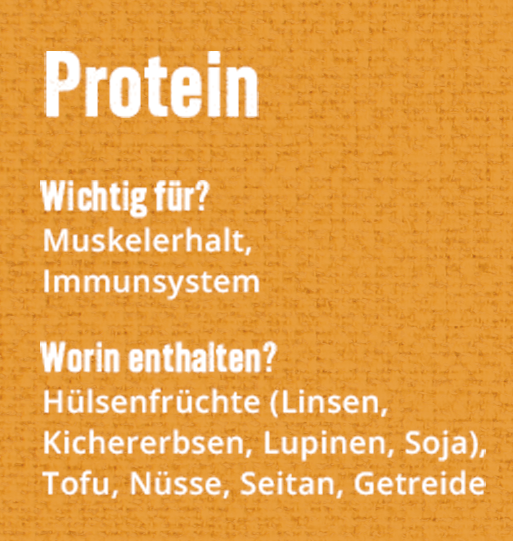 Protein